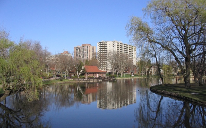 Victoria Park lake in Kitchener with willows and downtown towers behind