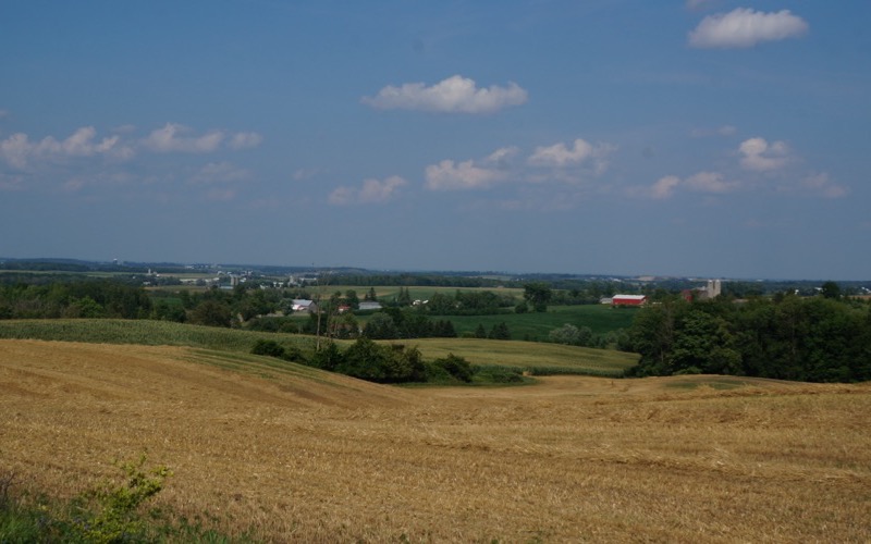 Rolling farm fields under a blue sky in Wellesley Township